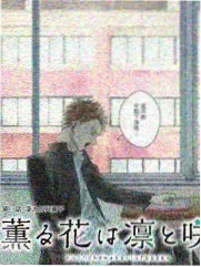 深夜食堂笔记 综艺纪实海报